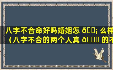 八字不合命好吗婚姻怎 🐡 么样（八字不合的两个人真 🐝 的不能结婚吗）